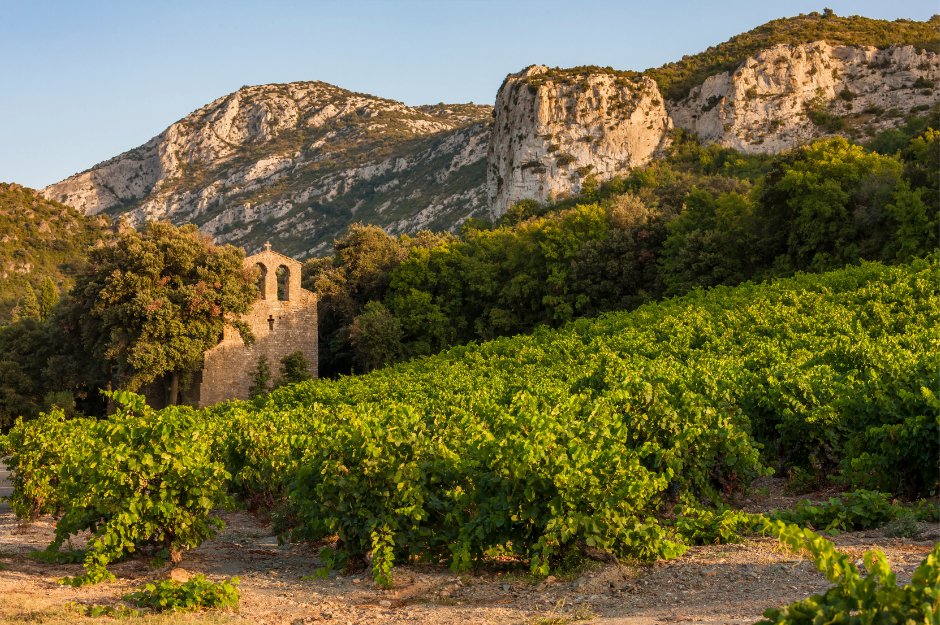 Explorando os Tesouros Vinícolas do Languedoc-Roussillon - SmartBuyWines.com.br