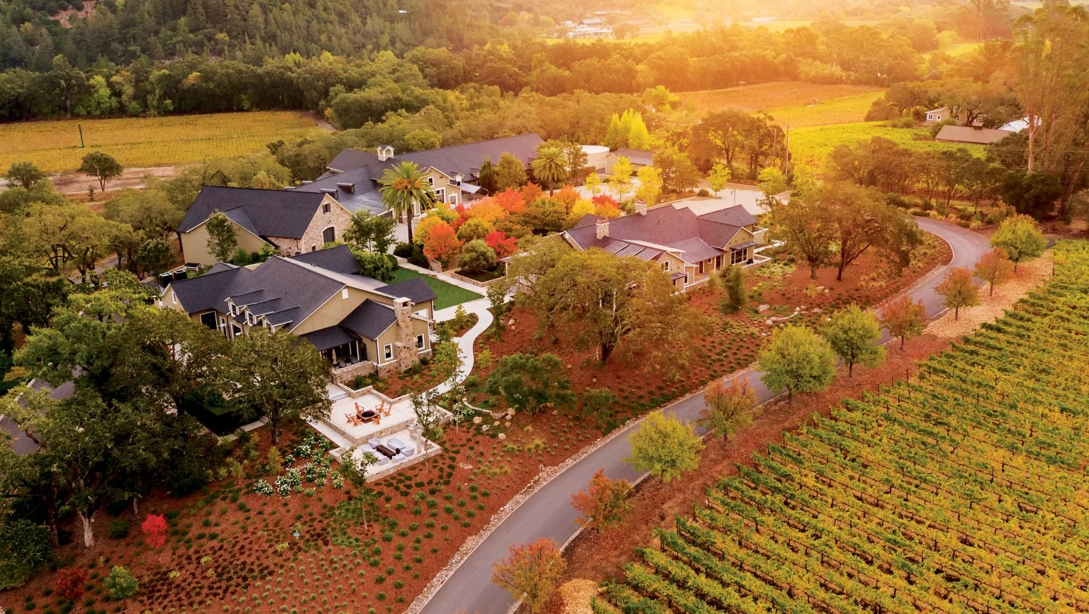 A história da família Trinchero na Califórnia - SmartBuyWines.com.br