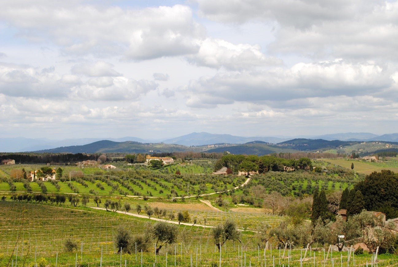 A ORIGEM DO CHIANTI - PARTE 02 - SmartBuyWines.com.br
