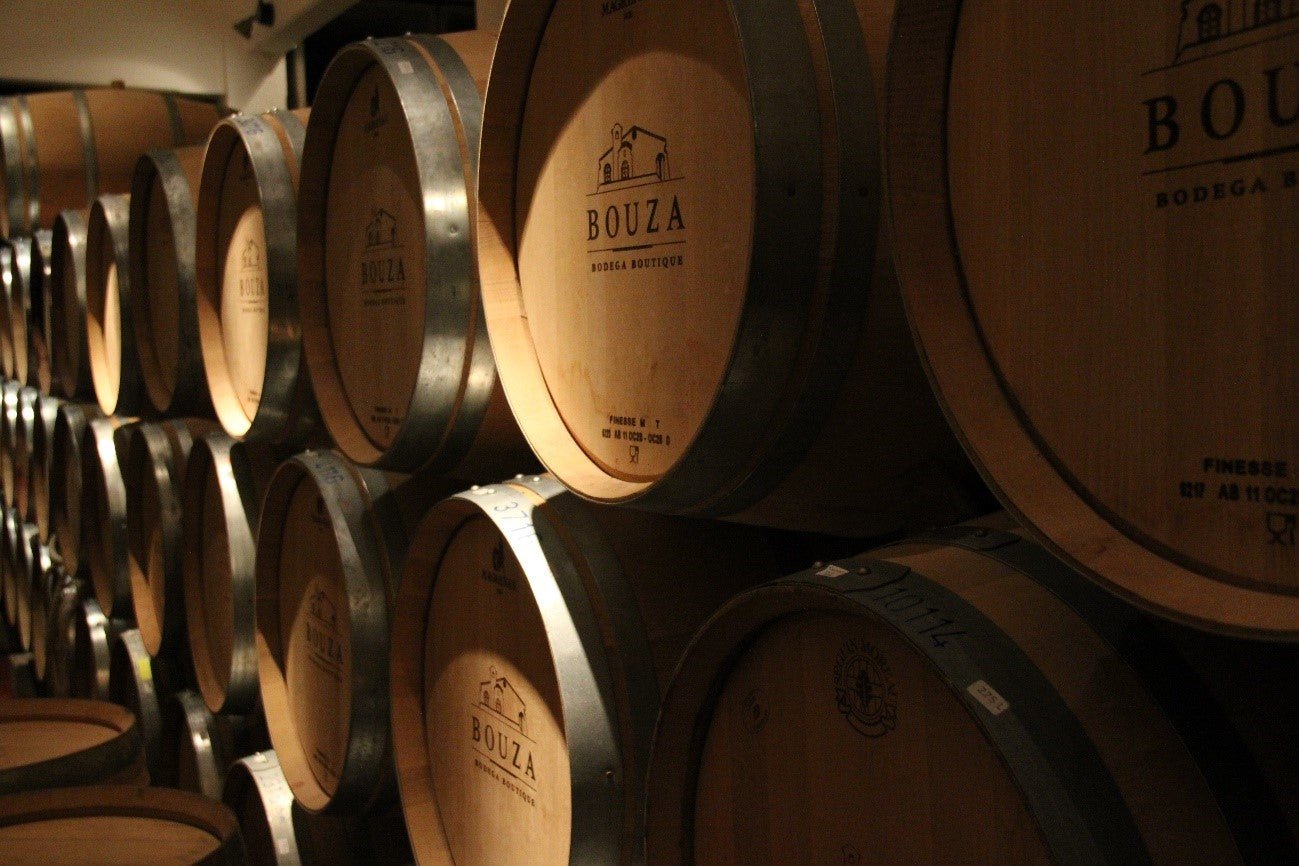 A ORIGEM DO VINHO URUGUAIO - SmartBuyWines.com.br