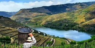 A região do Douro em Portugal - SmartBuyWines.com.br