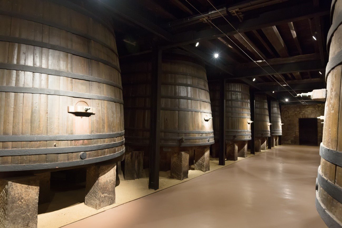 A REGIÃO VINÍCOLA MAIS ANTIGA: VALE DO DOURO EM PORTUGAL - SmartBuyWines.com.br