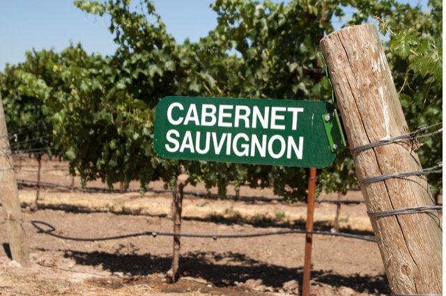 A uva Cabernet Sauvignon - recontando a história sobre a rainha das uvas - SmartBuyWines.com.br