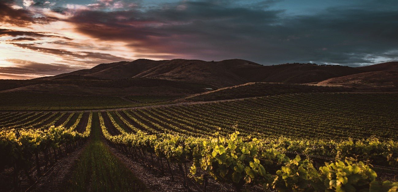 AS REGIÕES VINÍCOLAS MAIS FAMOSAS DO CHILE - SmartBuyWines.com.br