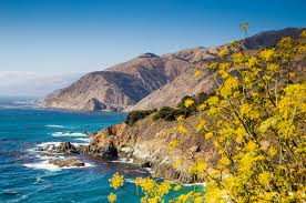 Central Coast – Califórnia: Vinho, tradição e natureza em perfeita harmonia - SmartBuyWines.com.br
