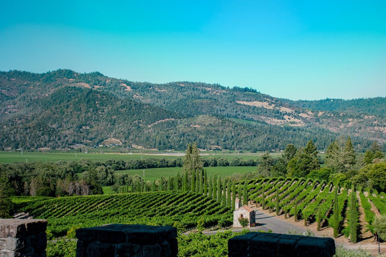 CIDADES VINICOLAS DA CALIFORNIA CALISTOGA - SmartBuyWines.com.br