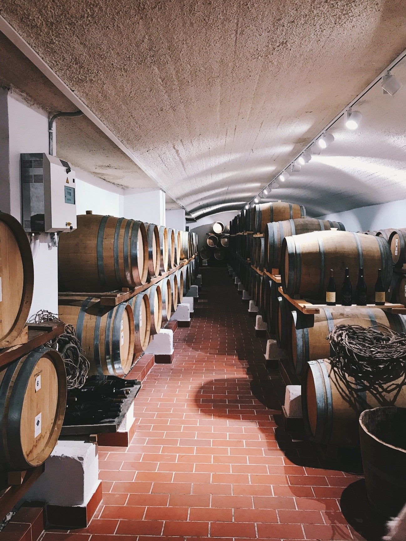 CONHEÇA GRANDES VINÍCOLAS DA ESPANHA - SmartBuyWines.com.br