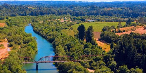 CONHECENDO O RUSSIAN RIVER VALLEY NA CALIFÓRNIA - SmartBuyWines.com.br