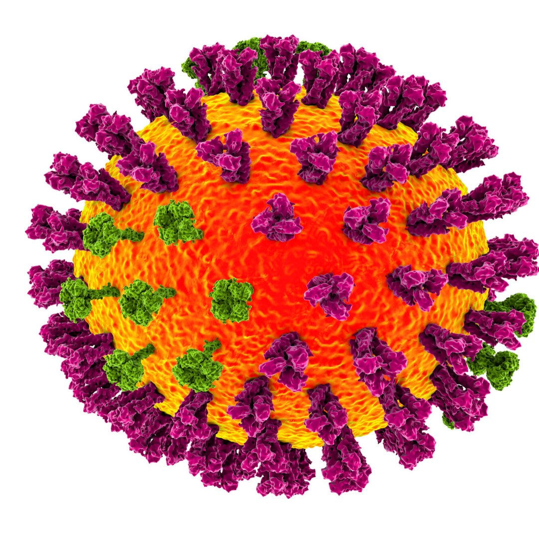 Coronavirus e a garrafa de vinho - SmartBuyWines.com.br