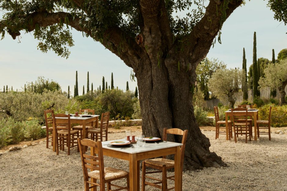 Enoturismo no Peloponeso: Um Roteiro Completo - SmartBuyWines.com.br