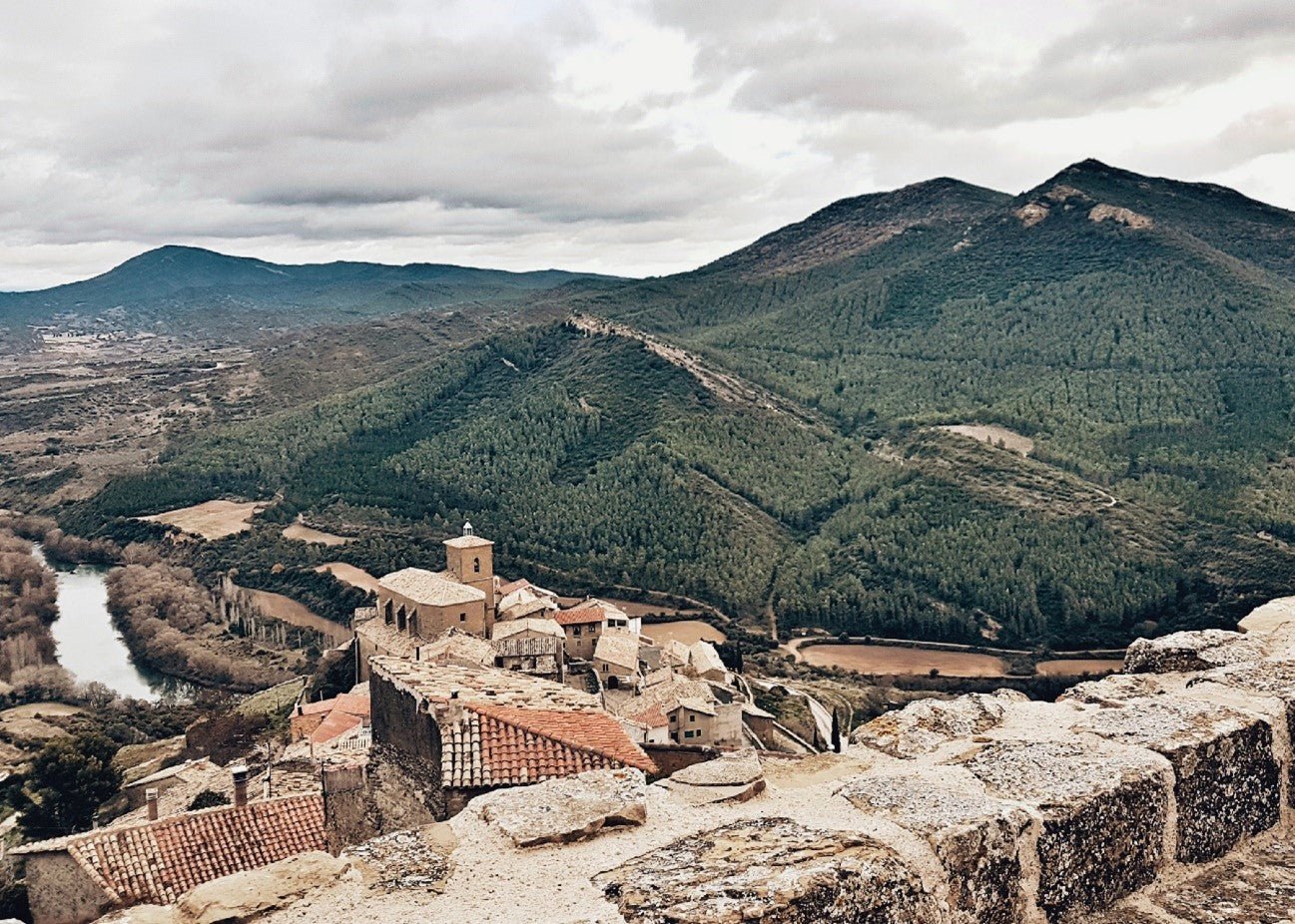 ESPANHA: A REGIÃO DE BIERZO E SUAS VINÍCOLAS - SmartBuyWines.com.br