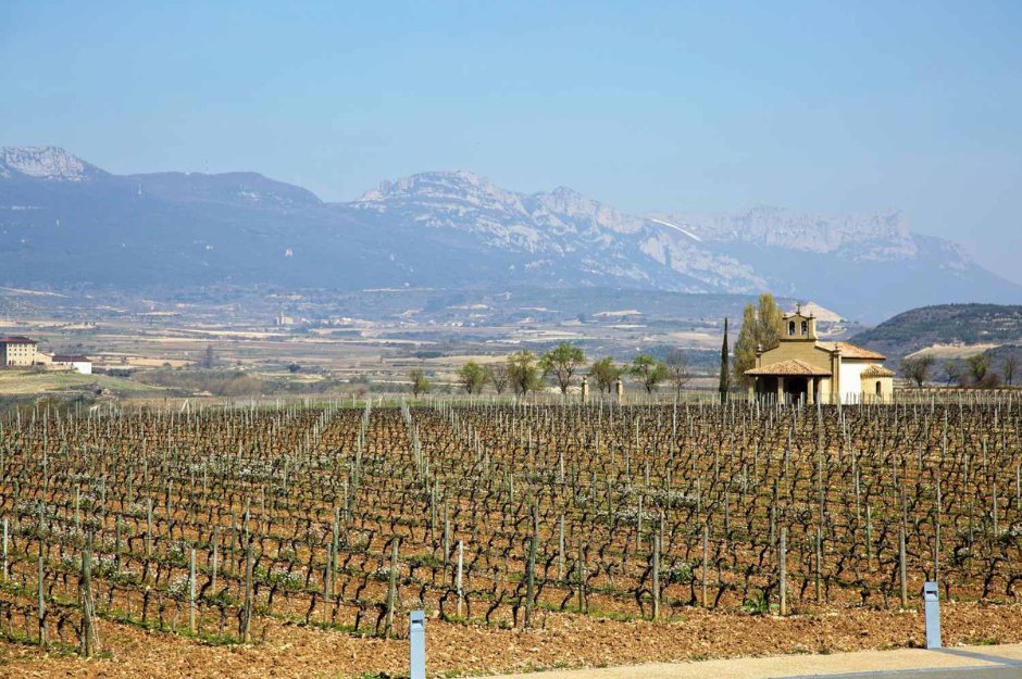 La Rioja, Espanha - Grandes vinhos elaborados com tradição, paixão e terroir - SmartBuyWines.com.br