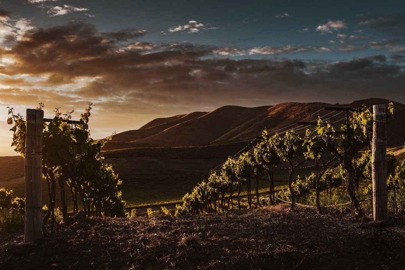 O IMPACTO DA “LEI DE PROIBIÇÃO” NOS ESTADOS UNIDOS - SmartBuyWines.com.br