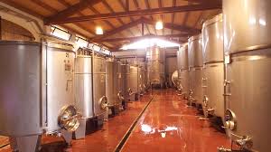 O processo da fabricação de vinhos: etapas e tecnologias - SmartBuyWines.com.br