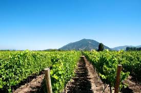 O VALE DO COLCHAGUA NO CHILE - SmartBuyWines.com.br