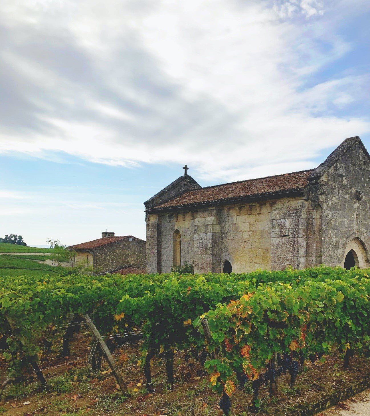 O VINHO FRANCÊS E AS SUAS PECULIARIDADES: CONHEÇA TUDO AQUI! - SmartBuyWines.com.br