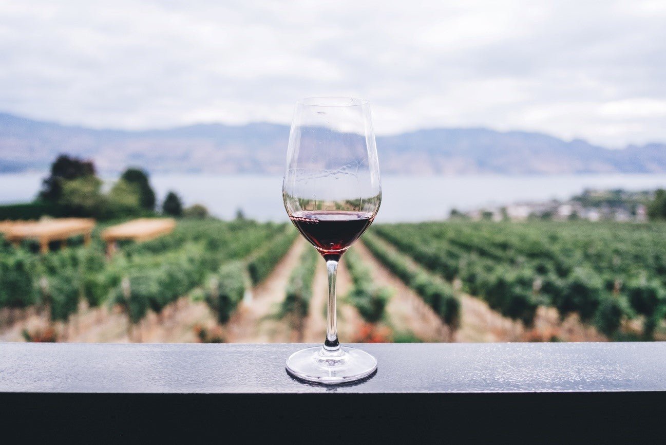 OS ENCANTOS DO PINOT NOIR: PRODUÇÃO CHILENA - SmartBuyWines.com.br