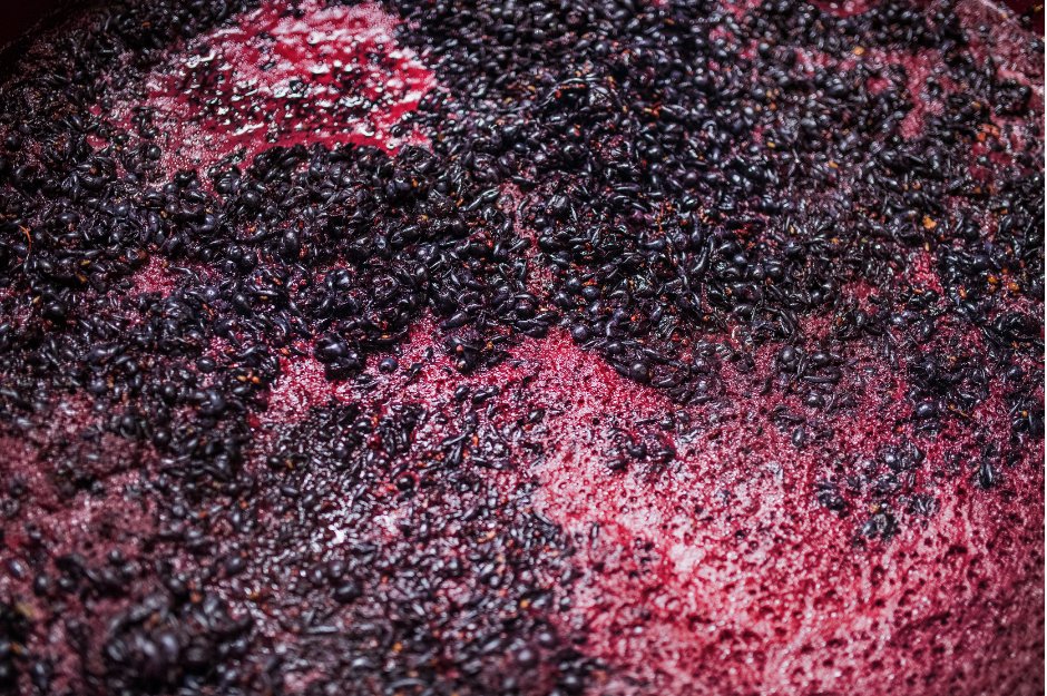Os tipos de maceração - SmartBuyWines.com.br