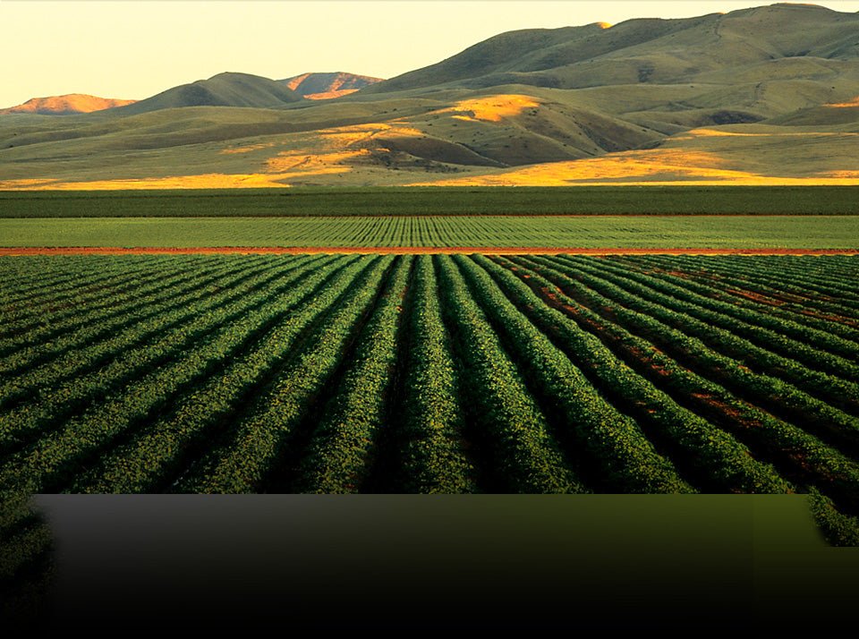 PARTIU CALIFÓRNIA? DEGUSTANDO VINHOS PINOT NOIR NA REGIÃO DO VALE DE LODI - SmartBuyWines.com.br