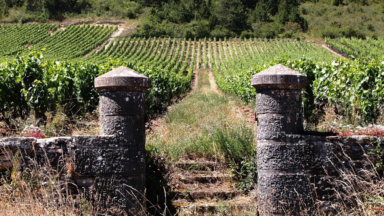 Passeando por Bordeaux - Um dos berços dos vinhos de corte - SmartBuyWines.com.br