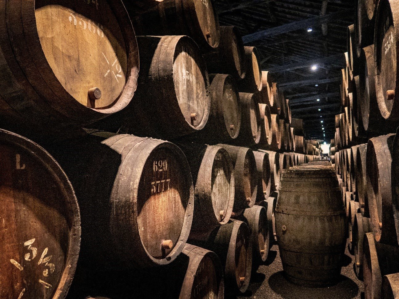 UM DOS BERÇOS MAIS IMPORTANTES DO VINHO: CONHEÇA ALENTEJO EM PORTUGAL - SmartBuyWines.com.br