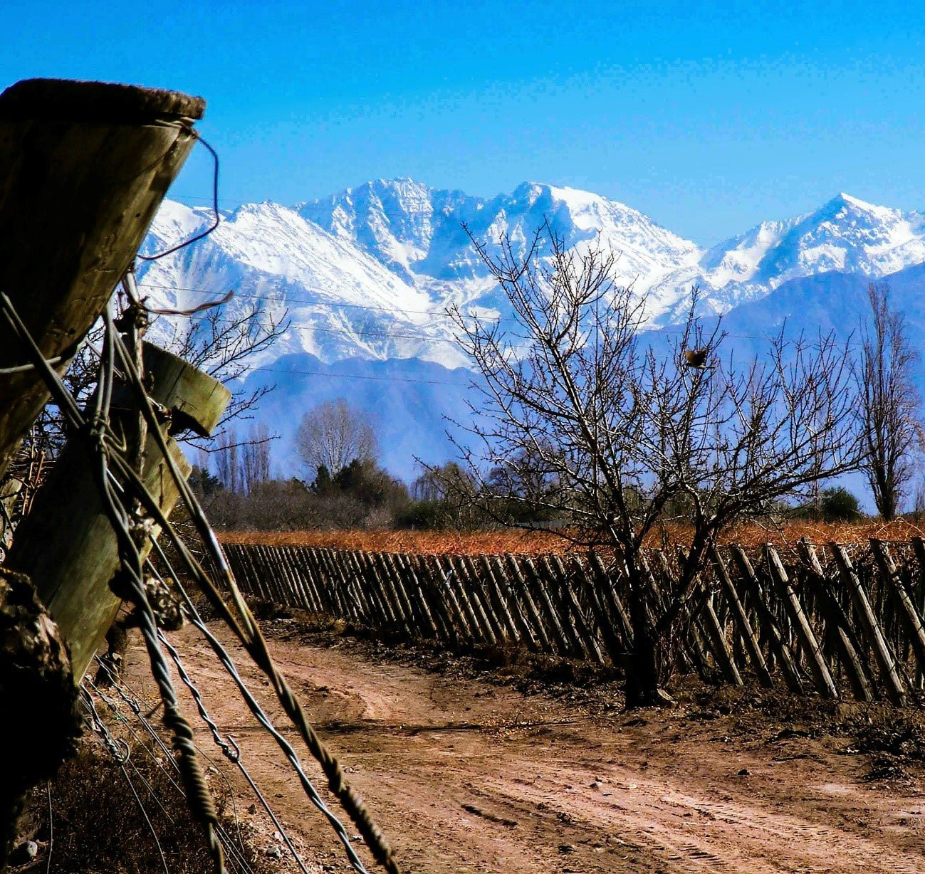 UM PASSEIO POR MENDOZA NA ARGENTINA - SmartBuyWines.com.br