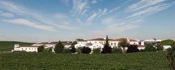 VILA SANTA: A VINÍCOLA DE JOÃO PORTUGAL RAMOS - SmartBuyWines.com.br