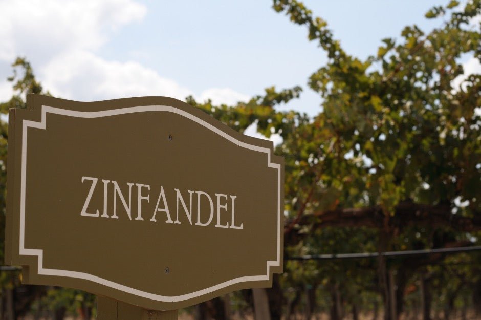 ZINFANDEL OU PRIMITIVO? - SmartBuyWines.com.br