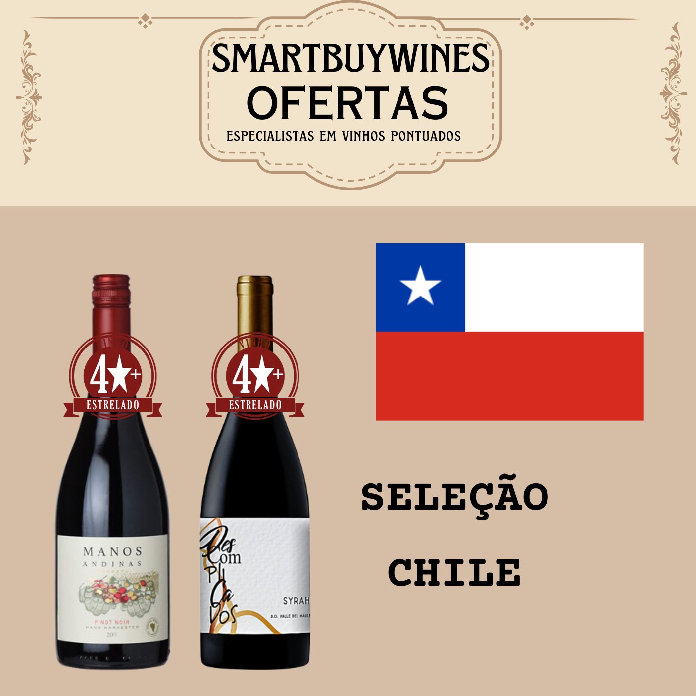 Seleção em oferta - Chile - caixa de 2 vinhos - SmartBuyWines.com.br